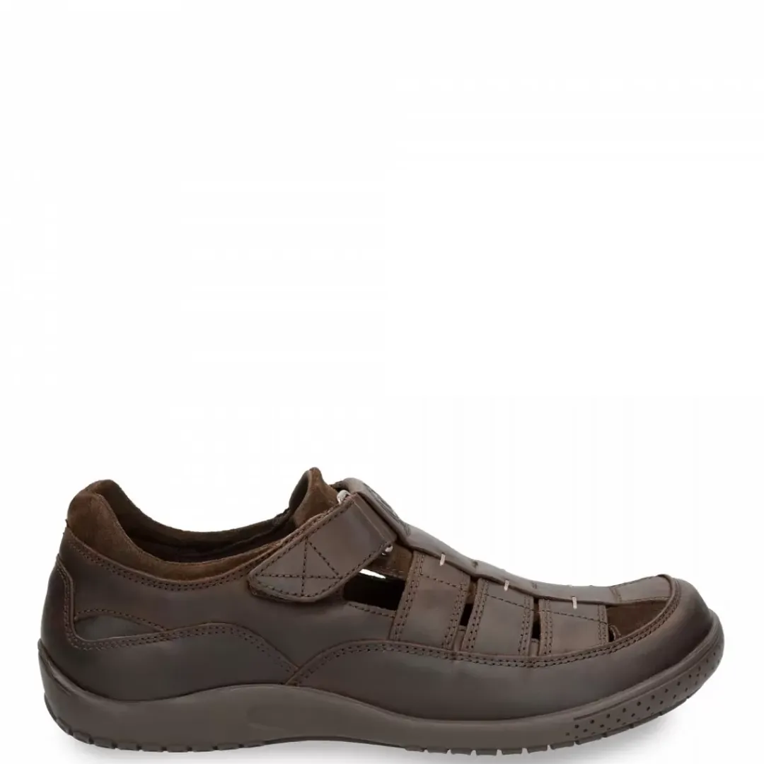 Meridian Basics^Panama Jack Best