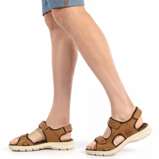 Salton^Panama Jack Outlet
