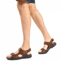 Salton Basics^Panama Jack Hot