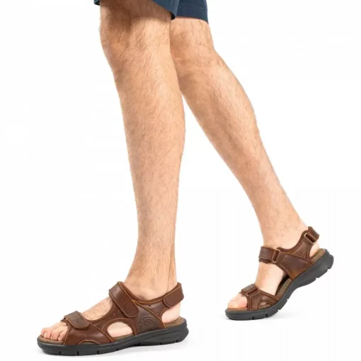 Salton Basics^Panama Jack Hot