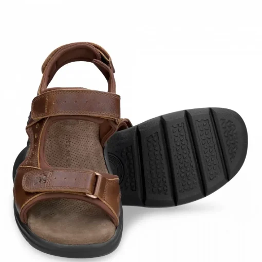 Salton Basics^Panama Jack Hot
