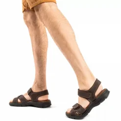 Sanders Basics^Panama Jack