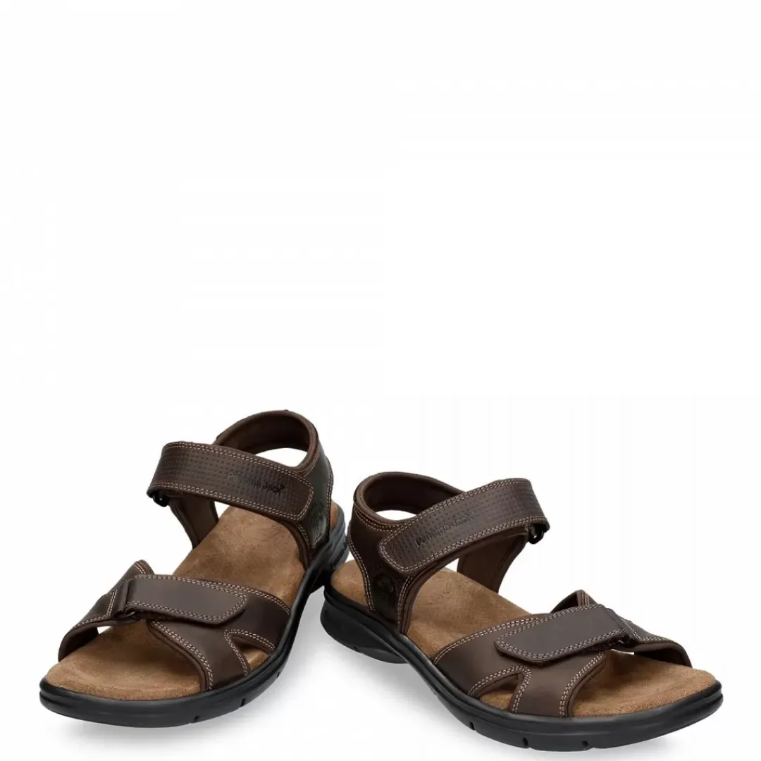 Sanders Basics^Panama Jack