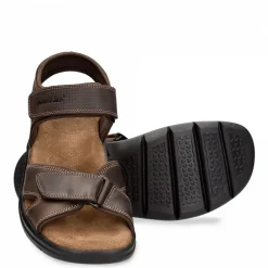 Sanders Basics^Panama Jack