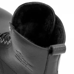 Stevens Igloo^Panama Jack Online